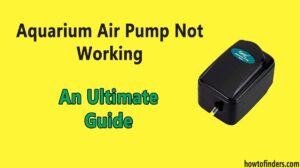 Aquarium Air Pump Not Working-An Ultimate Guide - How To Finders